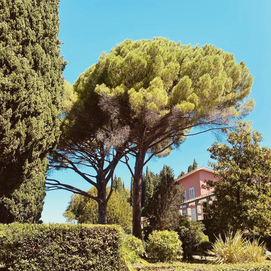 Vila Tartini Strunjan Buitenkant foto